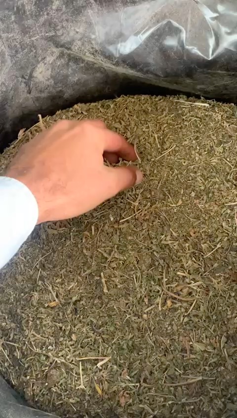 Descripción de tu imagen